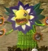 Blossomon