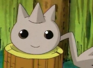 Conomon