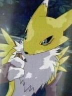 Renamon and the energy drink