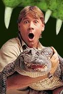 Crikey!