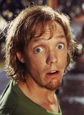 Matthew Lillard as Shaggy